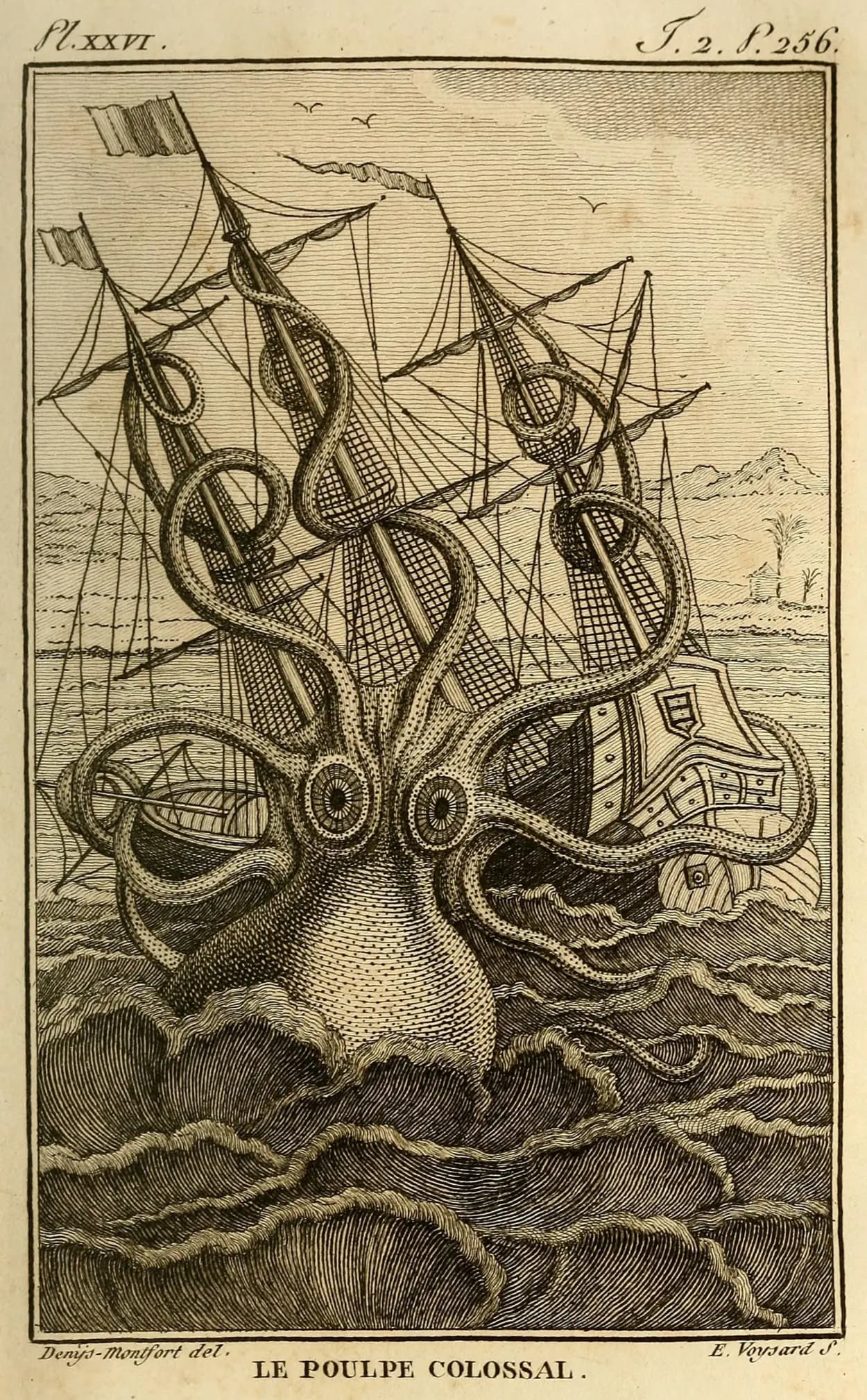 Denys de Montfort's 1801 engraving of a colossal octopus attacking a ship